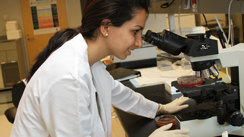 Student looking in a microscope at the LLU School of Dentistry Student looking in a microscope at the LLU School of Dentistry