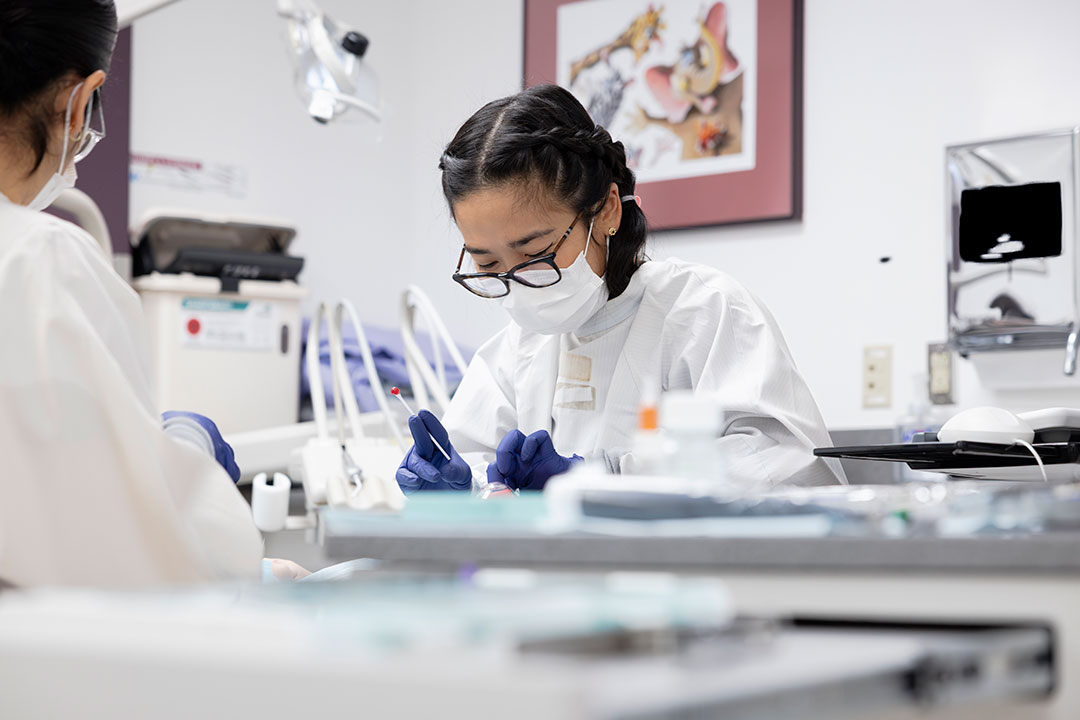 Dental Students wearing protective dental equipment working on a patient in a clinical treatment room