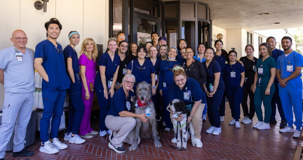 A group of dental students and faculty stand together outside the main clinic entrance with two therapy dogs during the community outreach event