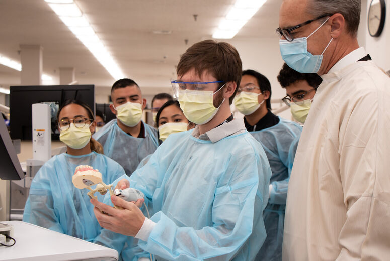 Careers In Dentistry Workshop