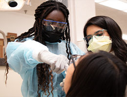 Careers In Dentistry Workshop