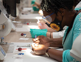 Careers in Dental Hygiene Workshop
