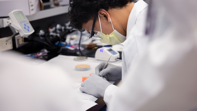 SD Dental Programs - Virtual Information Session