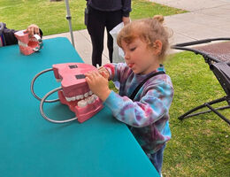 A young child uses a toothbrush to clean a large dental model on a table during Children's Day 2025