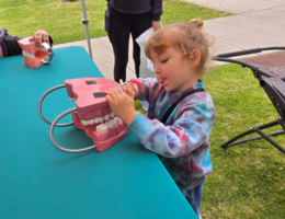 child learning to clean teeth on a model