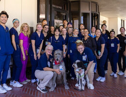 A group of dental students and faculty stand together outside the main clinic entrance with two therapy dogs during the community outreach event